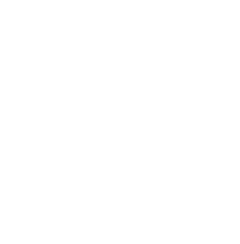 Logo LZBS